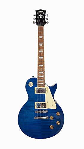 IYV 6 String Solid-Body Electric Guitar, Right, Ocean Blue (ILS-300 O (ILS-300 O. Blue)