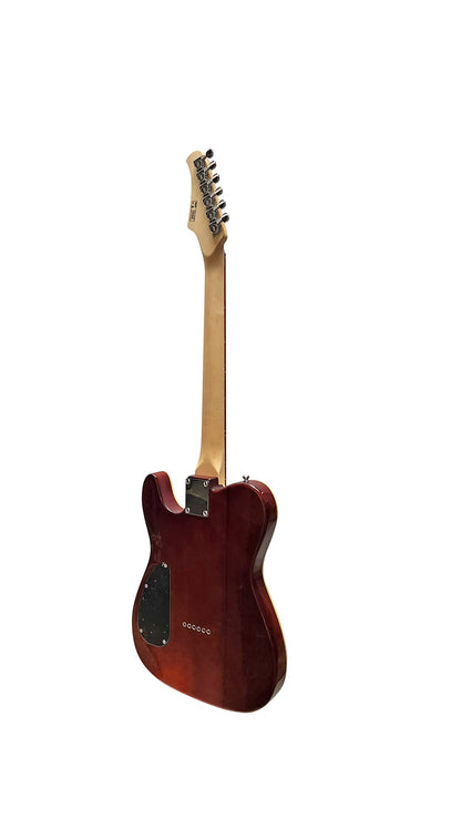 IYV-ITF-350 6 string Solid Top-Semi Hollow Body Electric Guitar, Natural